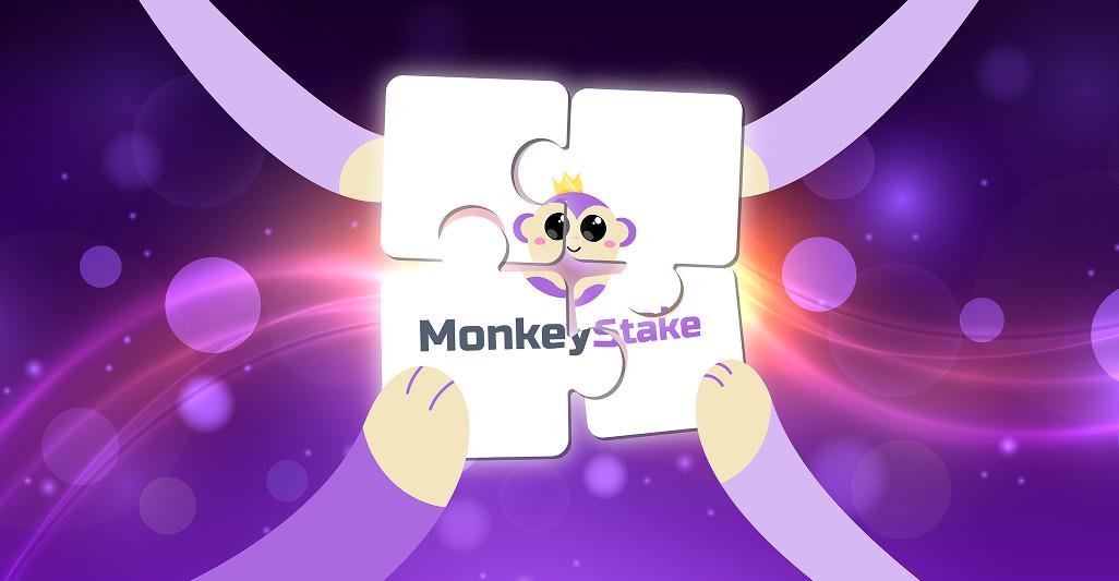 MonkeyStake transparency and guidelines